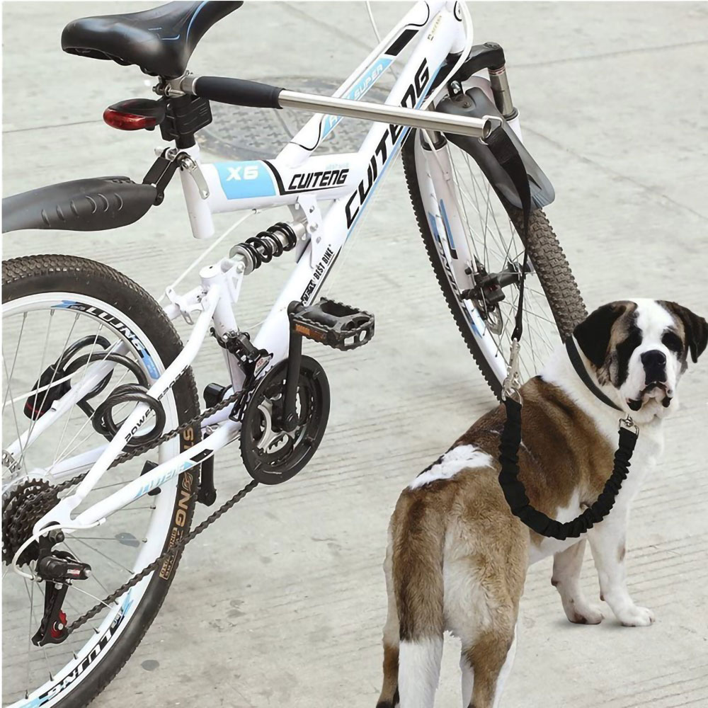 Polkupyöräteline koiran talutushihnalla