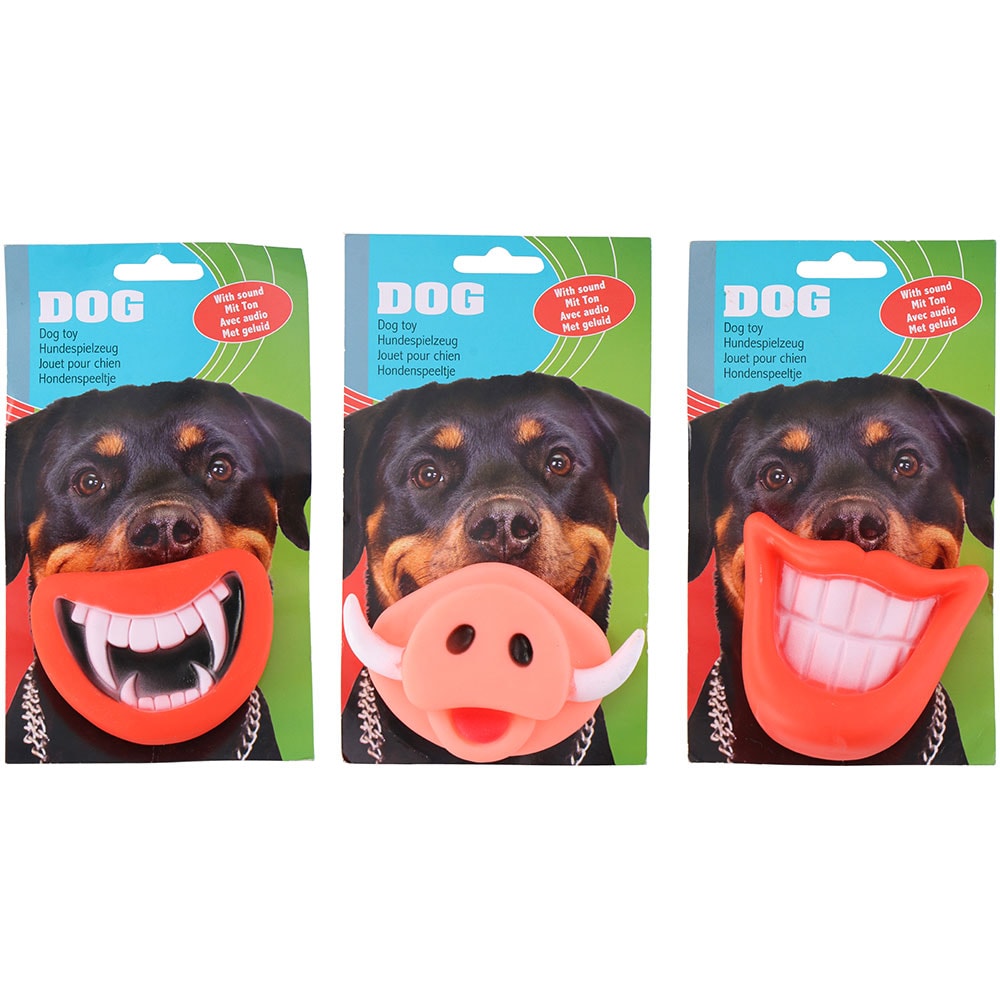 Koiran lelu - Hampaat