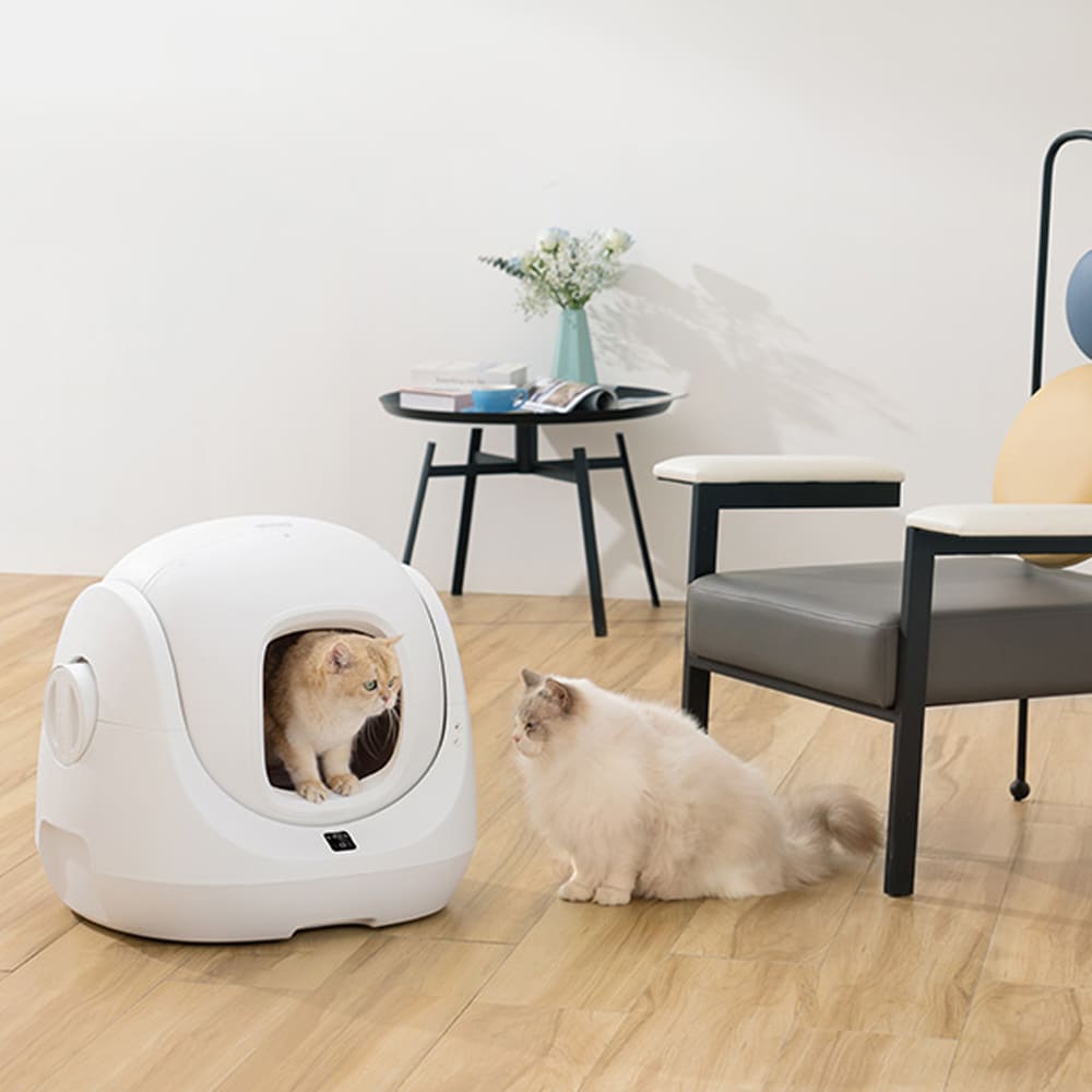 Catlink BayMax älykäs kissanhiekkalaatikko - Automaattinen itsepuhdistus ja hajunpoisto - 7 L