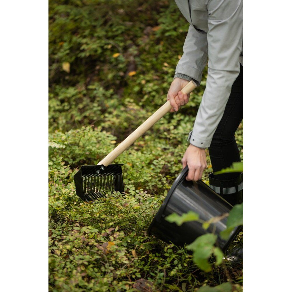 Marjukka Pro Harvester kantoharava - 53 cm - Rauta ja pähkinäpuu