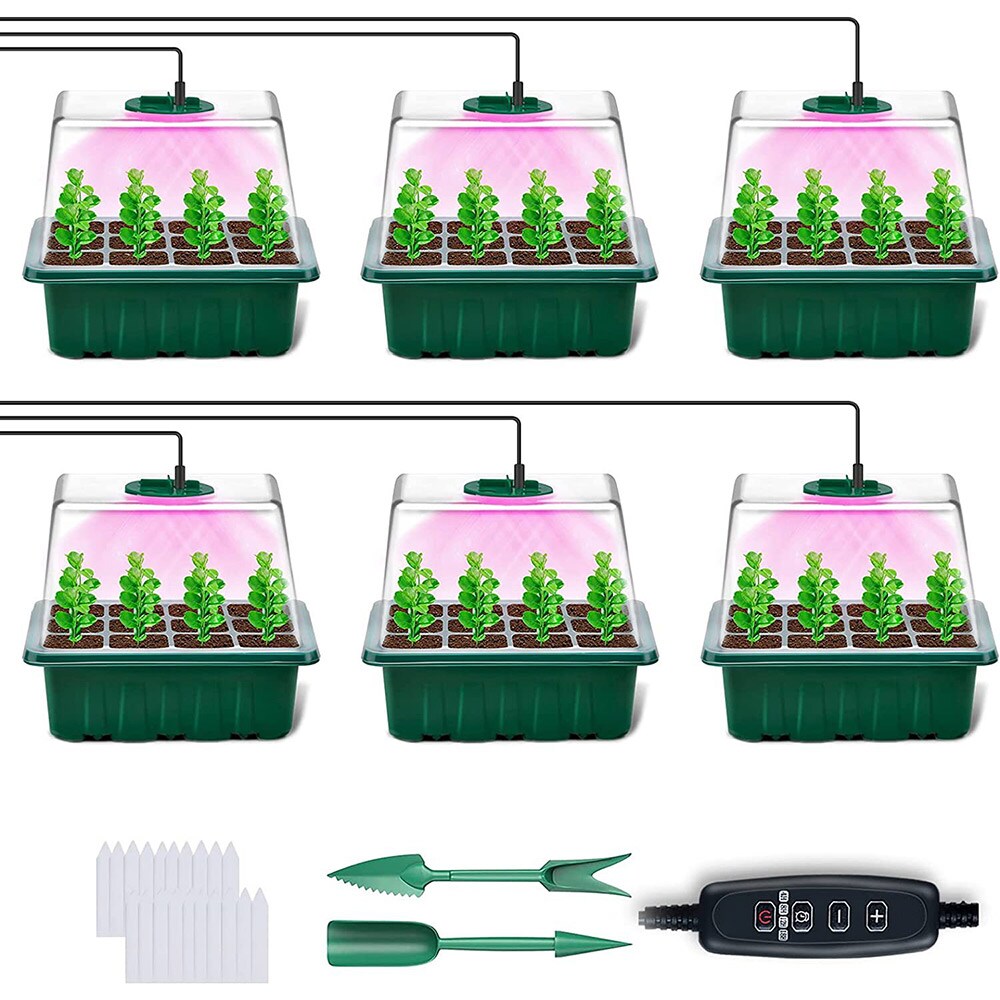 Kasvatusasema LED-valaistuksella ja säädettävällä kannella - 6-pack