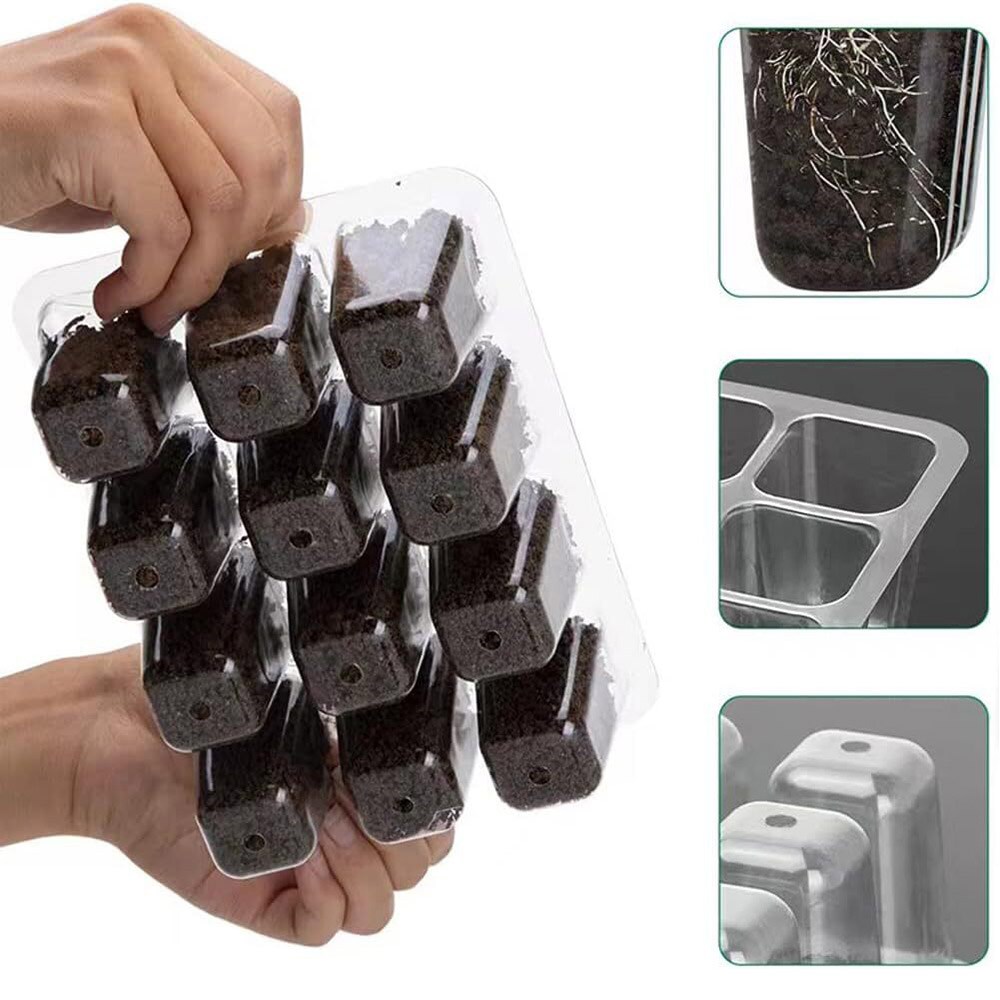 Kasvatusasema LED-valaistuksella ja säädettävällä kannella - 6-pack