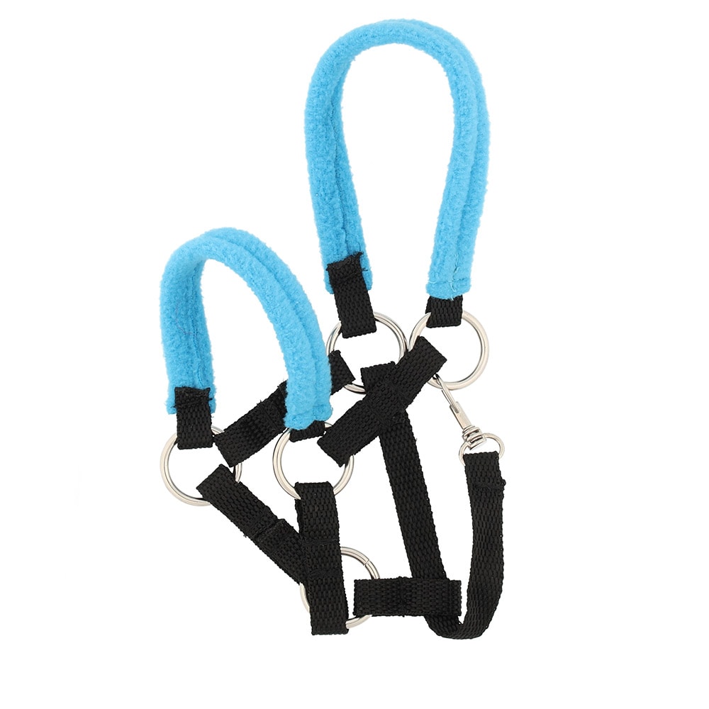 Grimma harrastehevoselle - Vaaleansininen