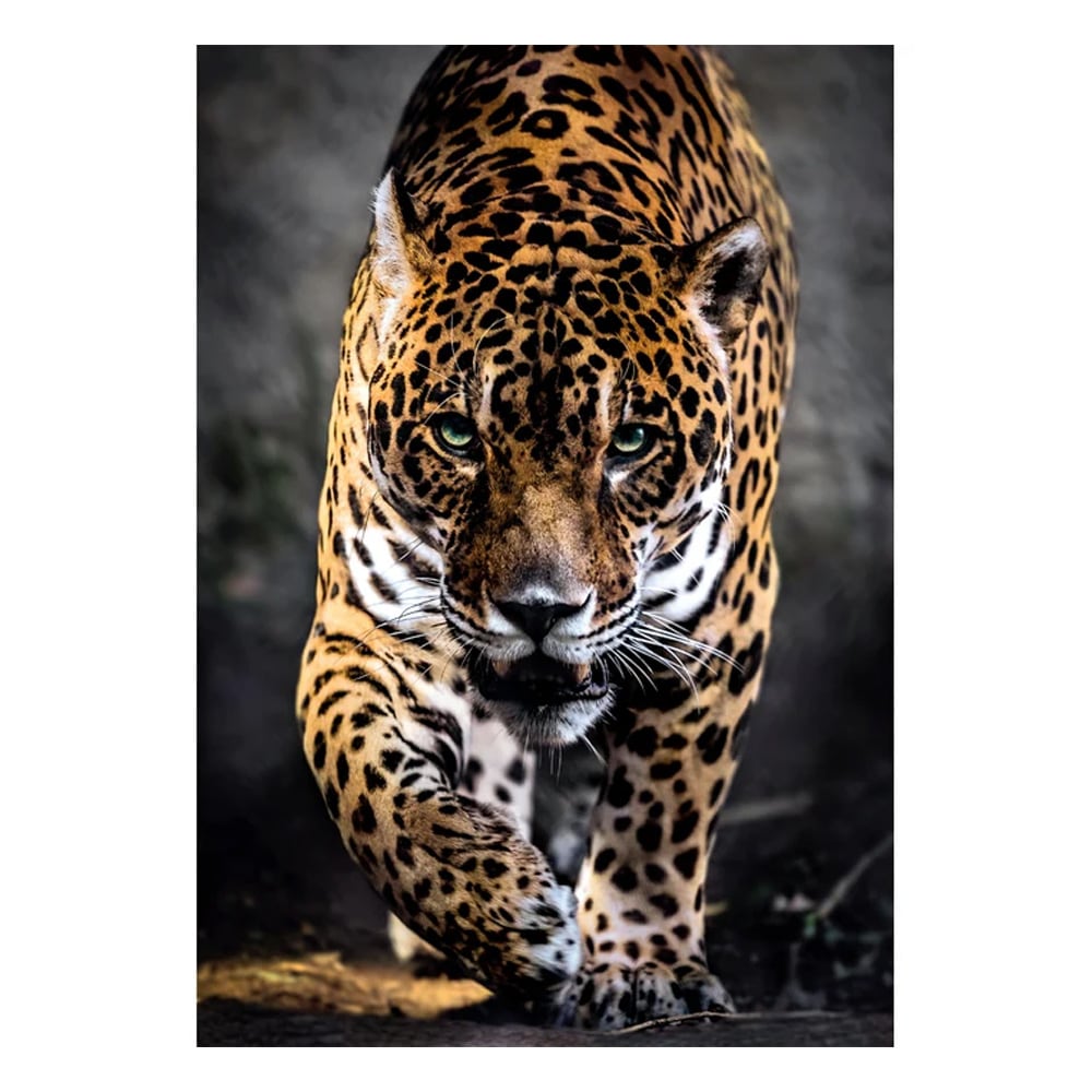 Palapeli 1000 palaa Walk of the Jaguar