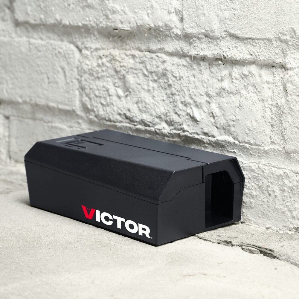 Sähköinen hiirenloukku V2, jossa on nopeasti vaikuttava iskumekanismi