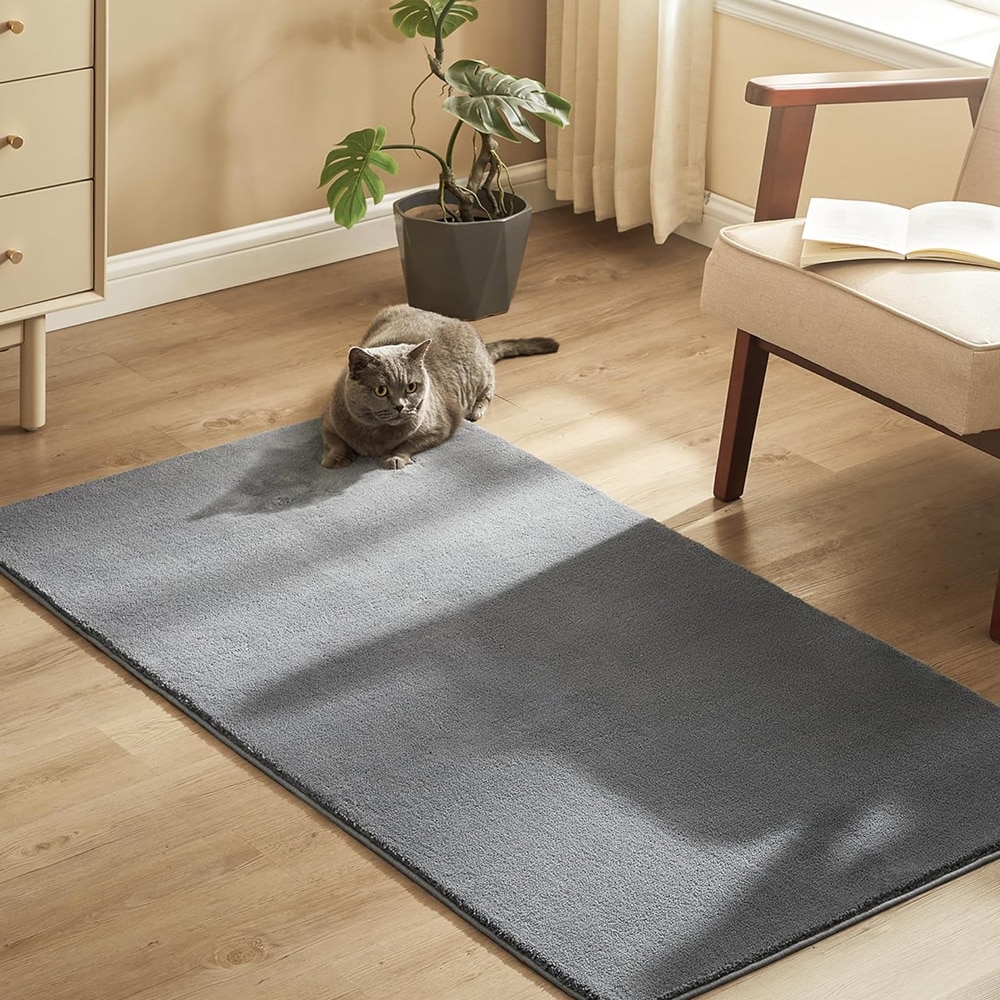 Olohuoneen matto 150 x 80 cm / liukumaton matto TPR-selkäpuolella / pehmeä lattiamatto kotiin - Harmaa