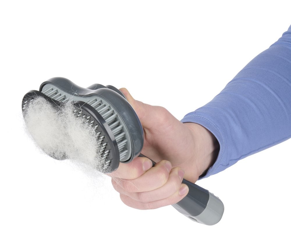 Lemmikkieläinten harja karvanpoistoaineella / koiran harja hoitamiseen / turkisharja koirille ja kissoille