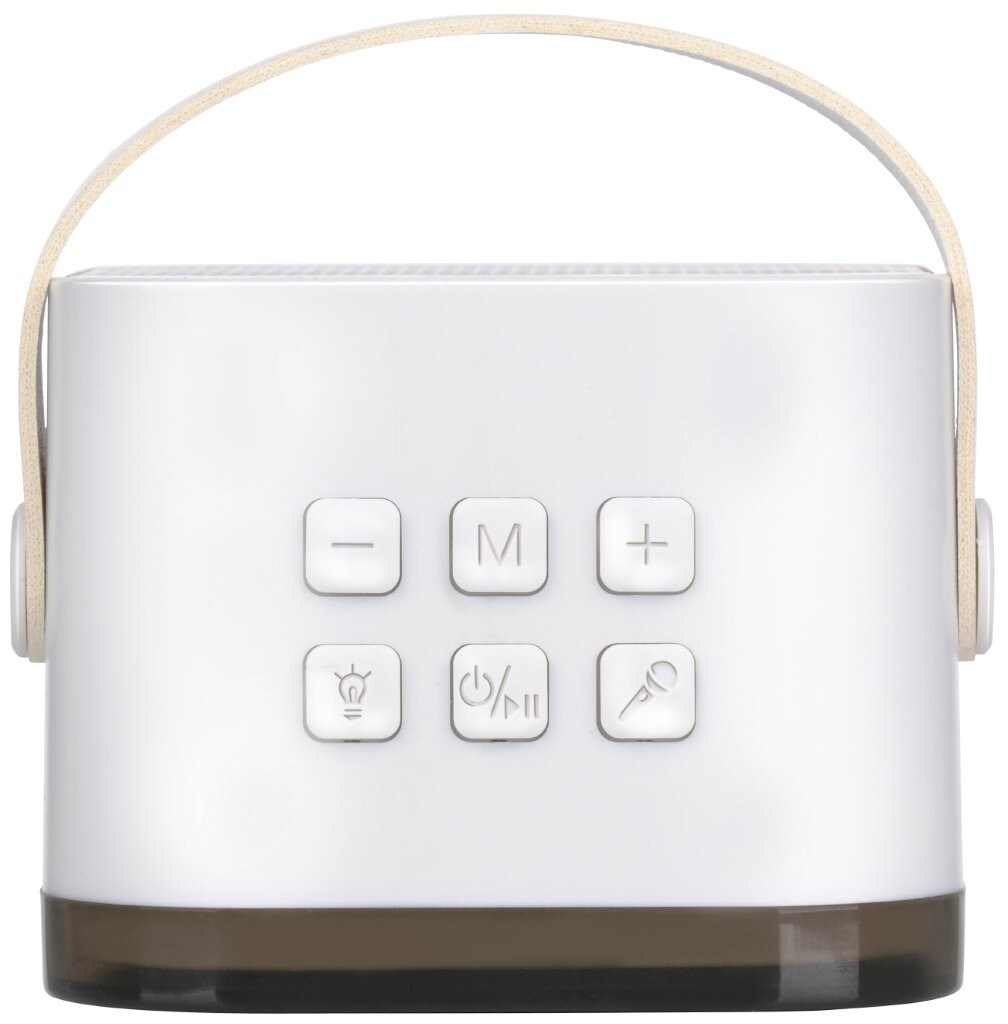 Karaokekaiutin langattomalla mikrofonilla ja RGB-valolla / kannettava minikaraokesetti Bluetoothilla