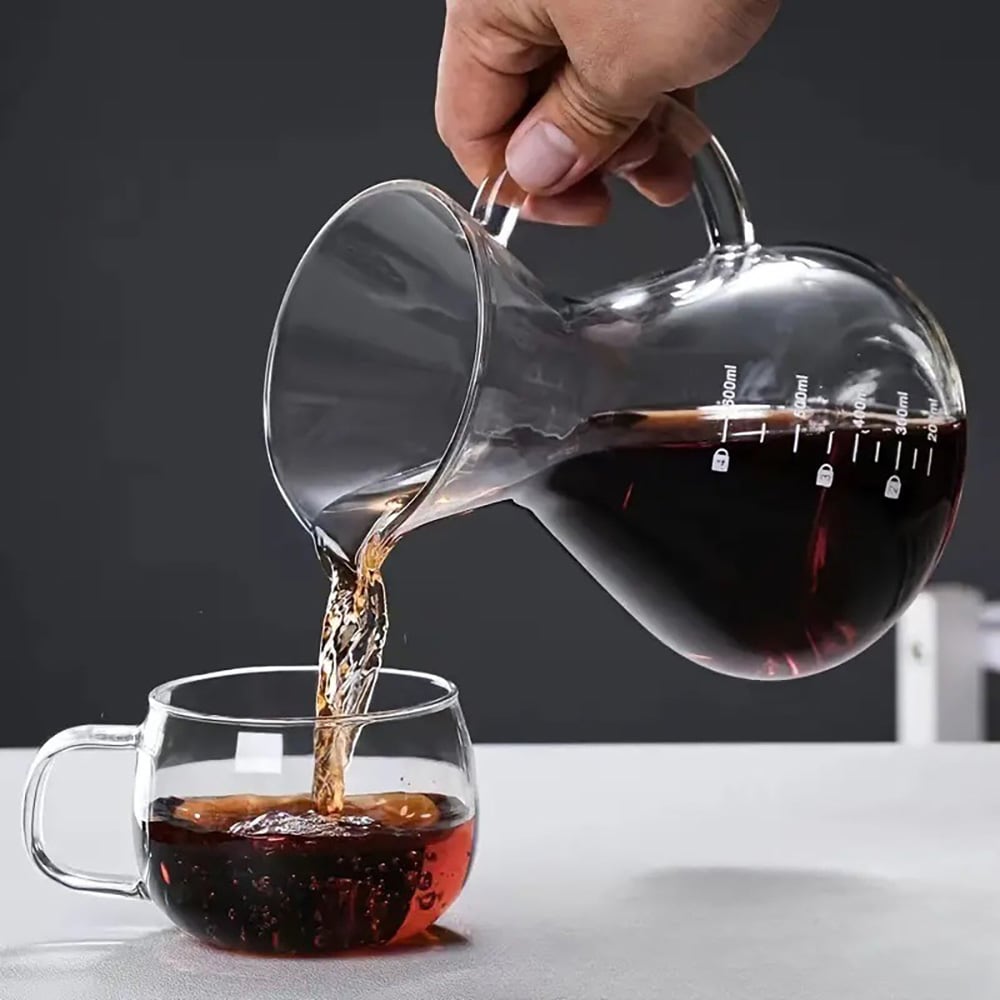 Lasinen pour over -kannu, jossa on ruostumattomasta teräksestä valmistettu suodatin, 600 ml / Kahvikannu käsinvalmistettua kahvia varten