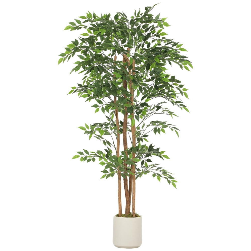 Tekofikus / banyanpuu ruukussa, 180 cm, massiivipuusta valmistettu runko – Vihreä/Valkoinen / Tekopuu