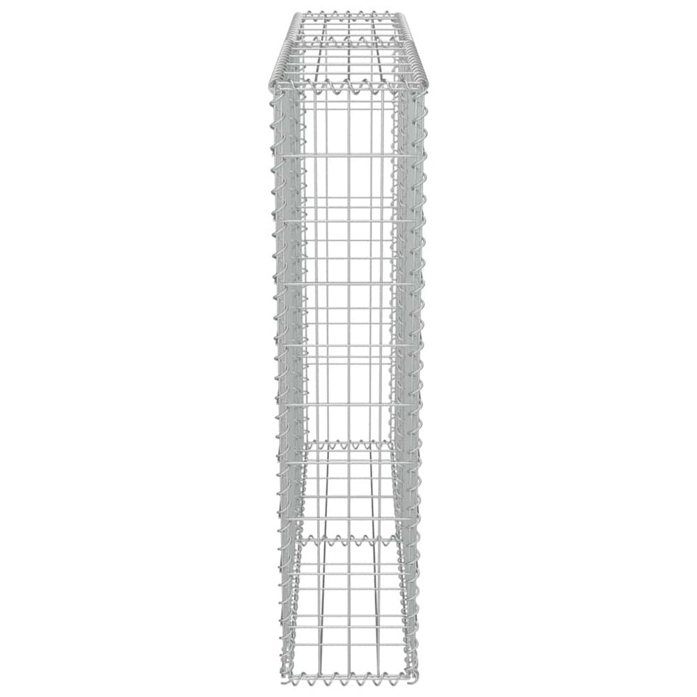 Gabionimuuri 100×20×100 cm / gabionikori sinkitystä teräksestä kiville ja soralle – Hopea