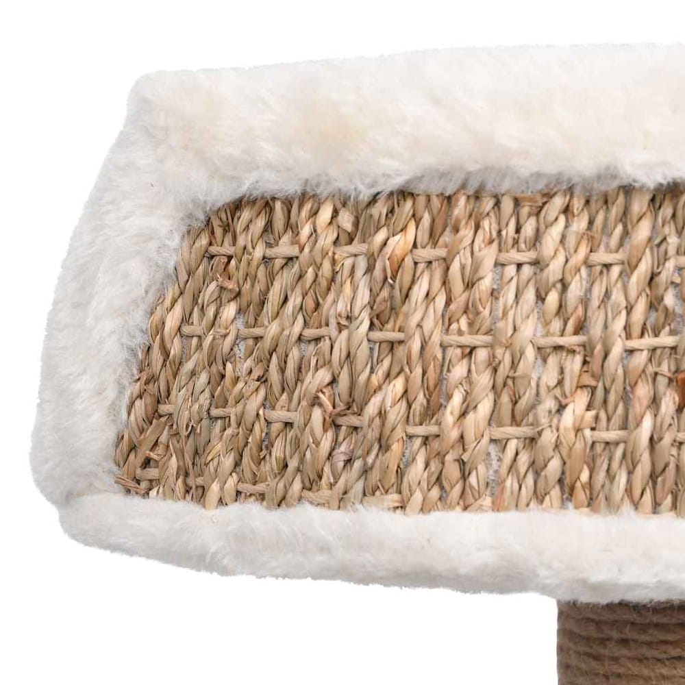 Kissan raapimispuu 49 cm / meriruoholla päällystetty raapimispylväs lepopaikalla – Beige