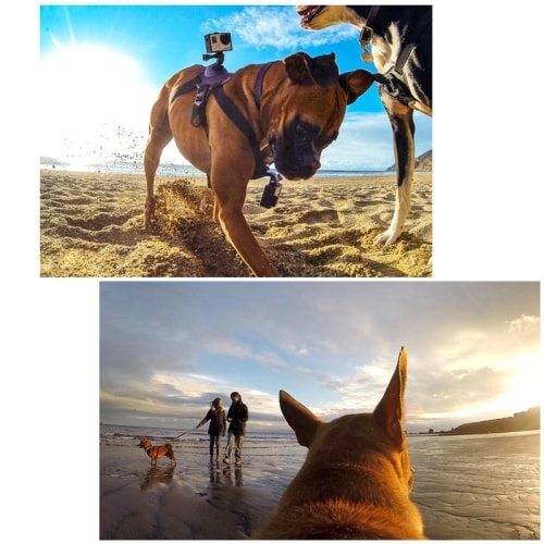 Koiranvaljaat GoPro HERO malleille