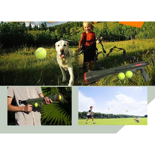 Tennisvalmentaja / Koiran valmentaja