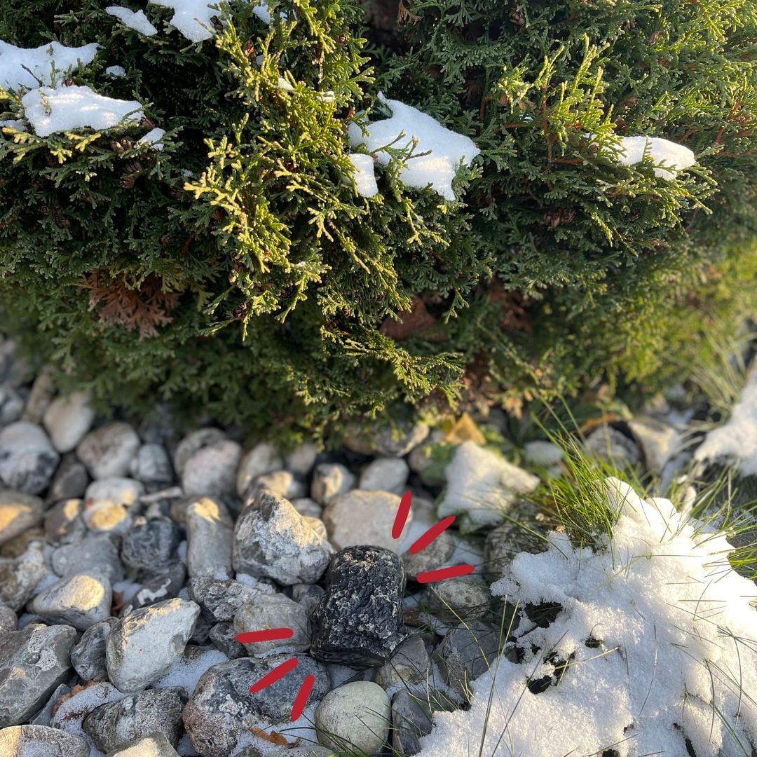 Avainpiilo  - Kivi, jonka sisään voidaan piilottaa kotiavain