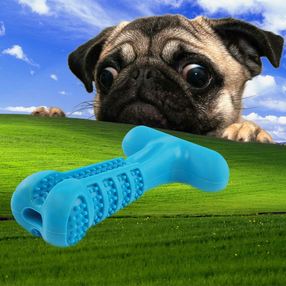 Koiran hammasharja silikoni 12x8cm