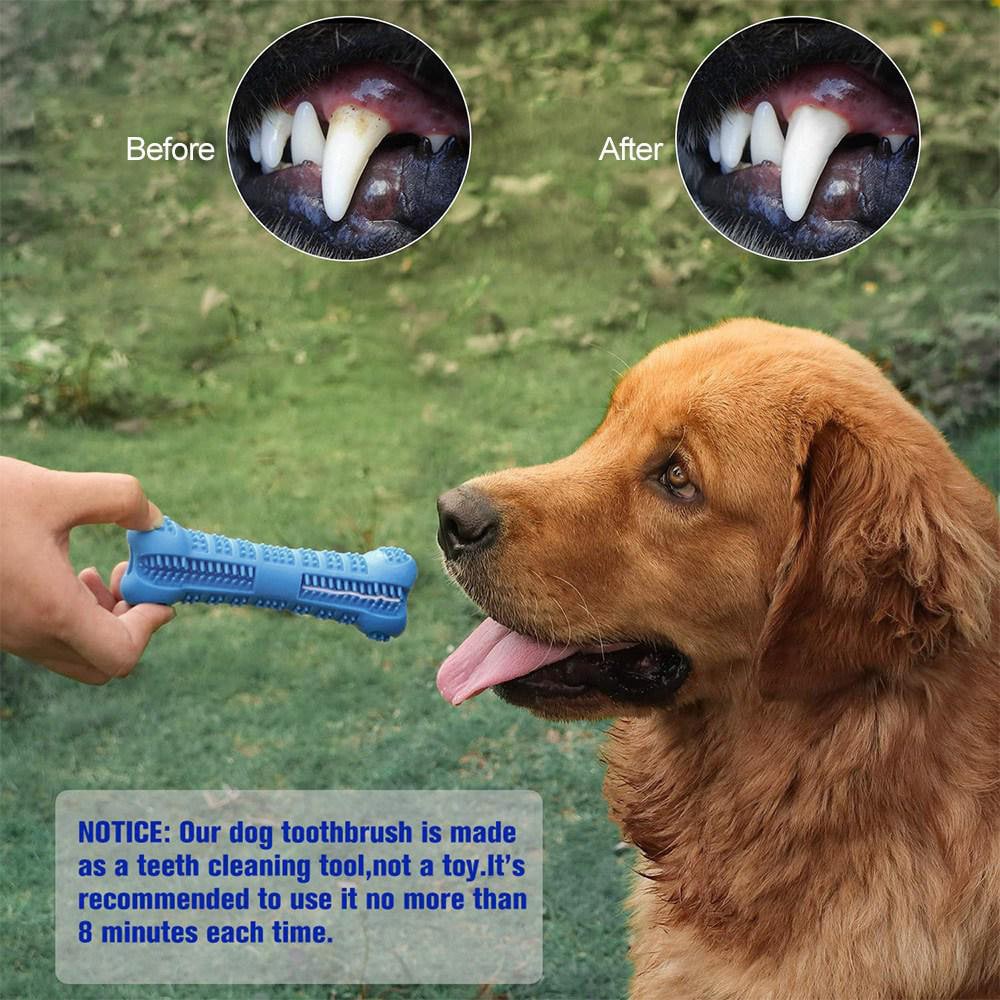 Koiran hammasharja silikoni 14,5x4,5cm