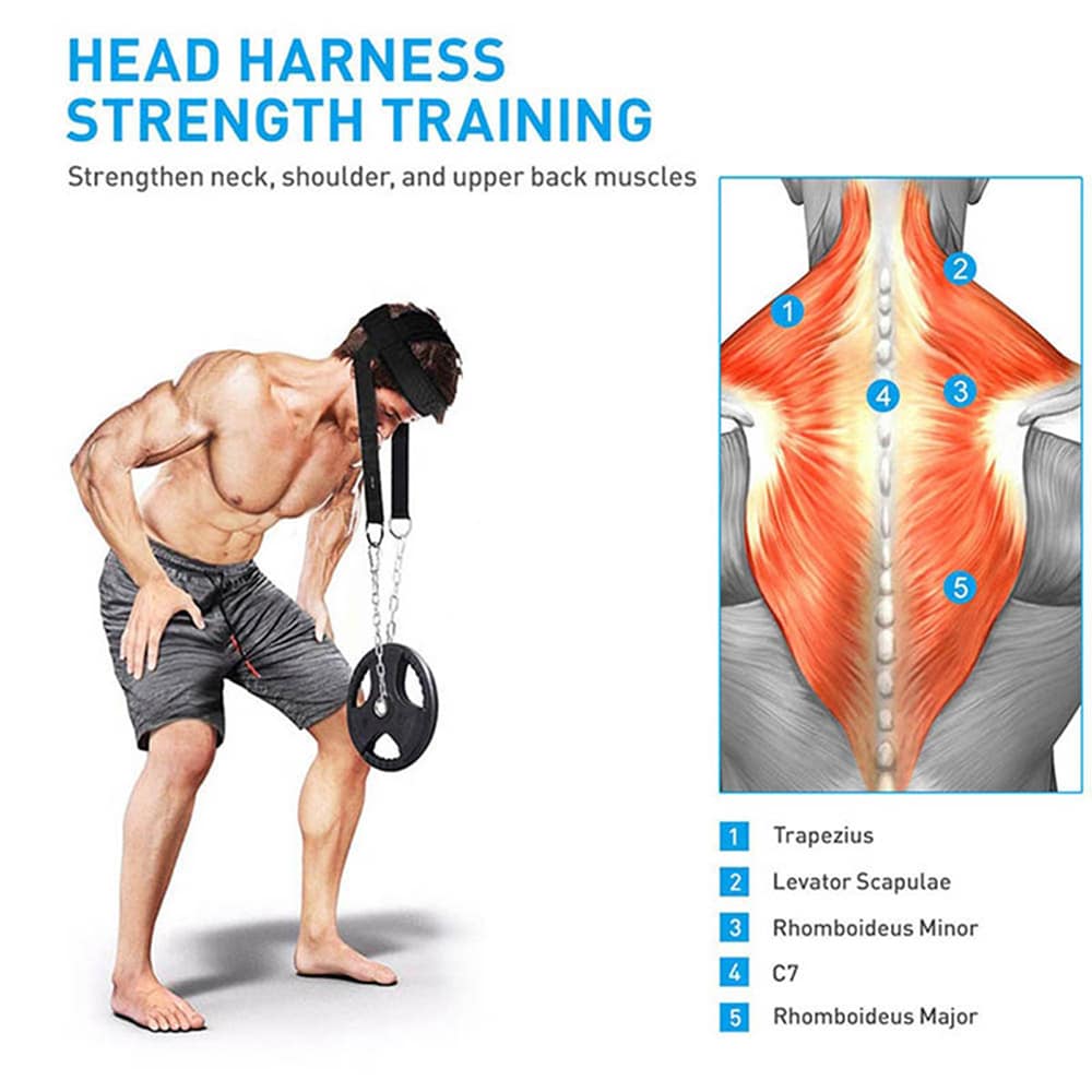 Gym Head Harness - Niska-alueen harjoitteluun