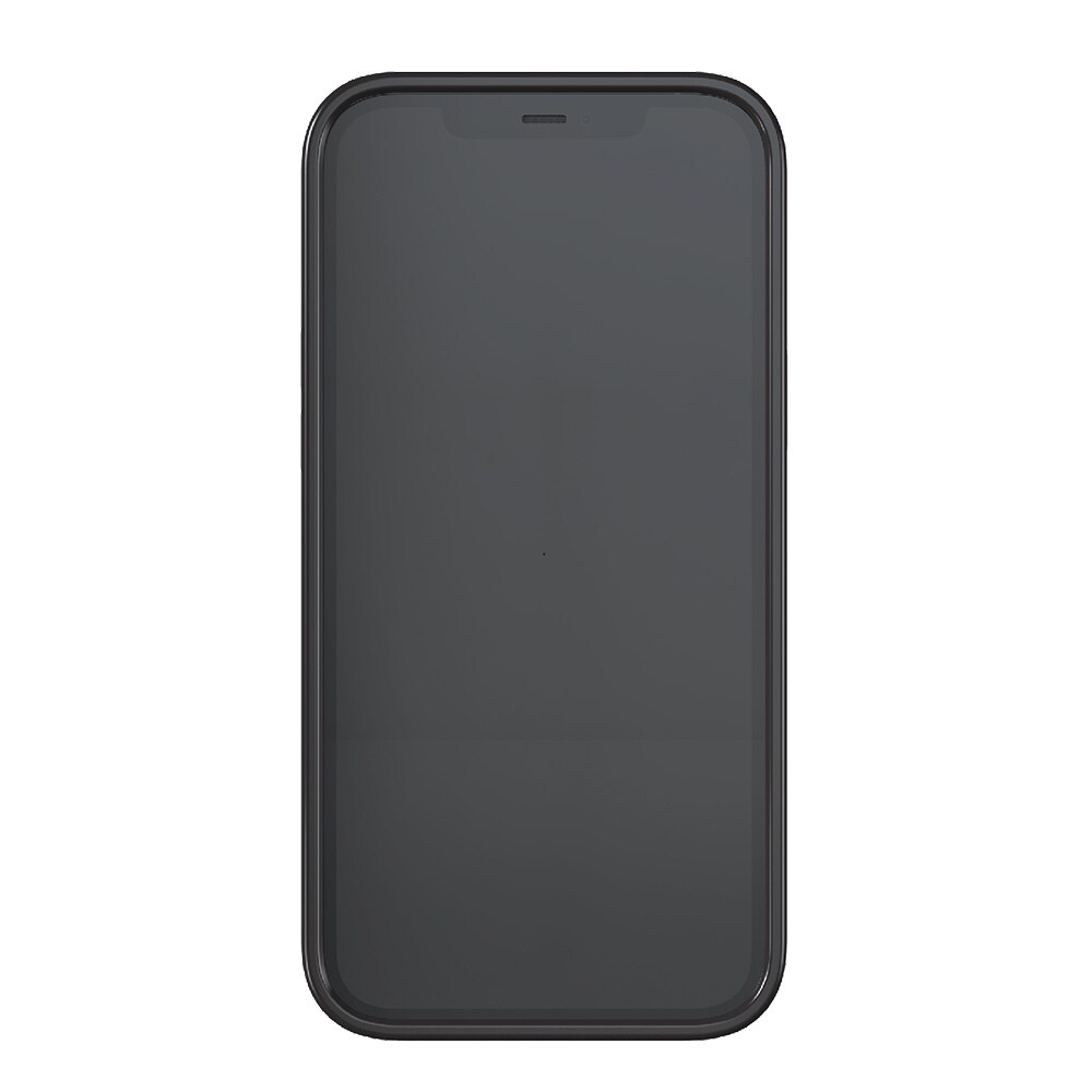 Richmond & Finch Matkapuhelimen kuori iPhone 12 Pro Max - Musta