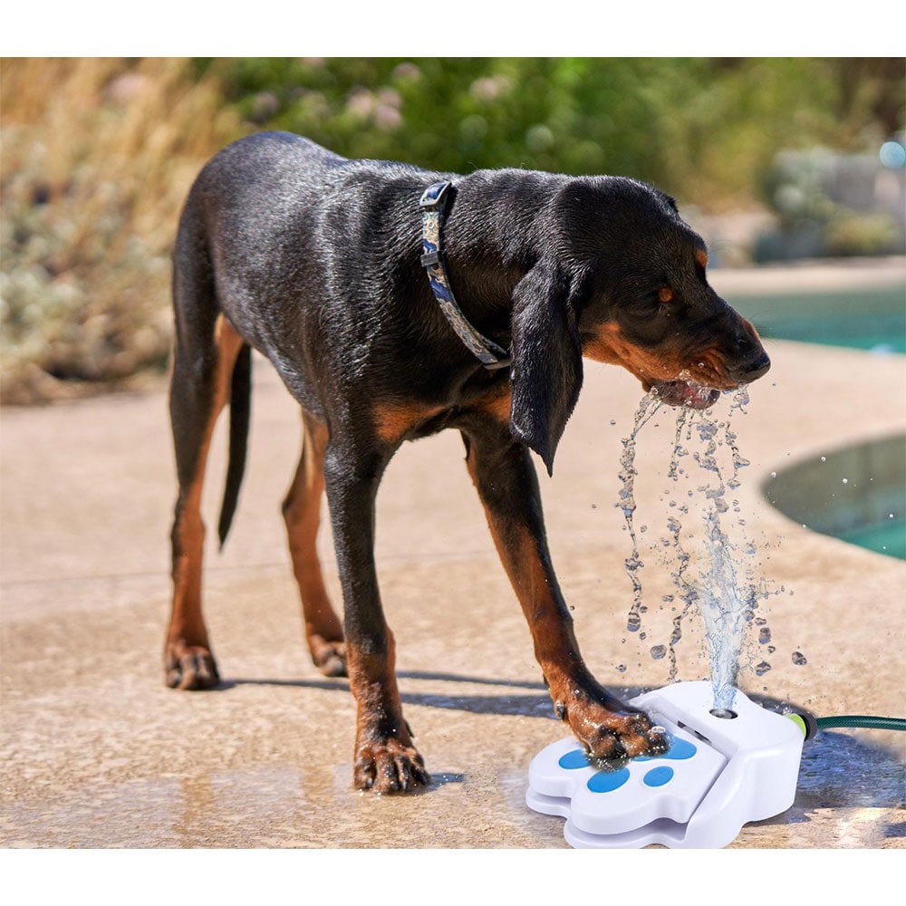 Vesisuihkulähde koiralle