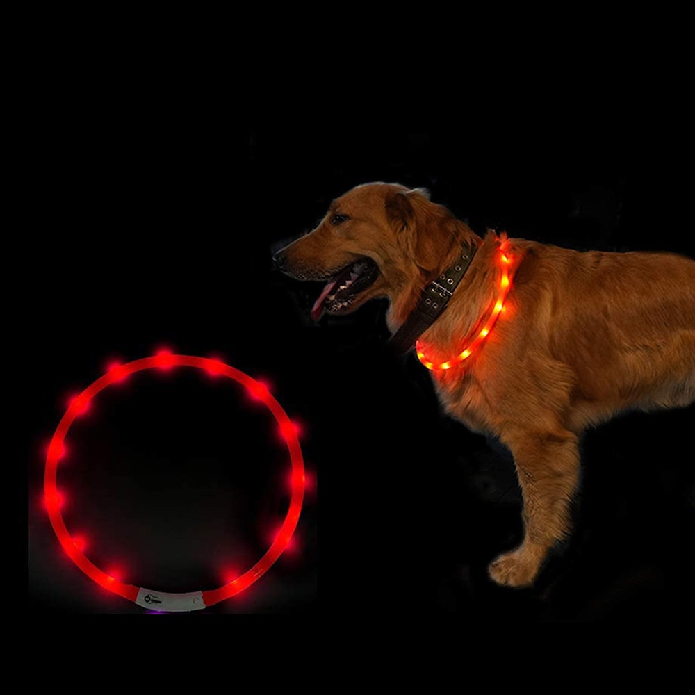 LED kaulapanta koiralle - Punainen