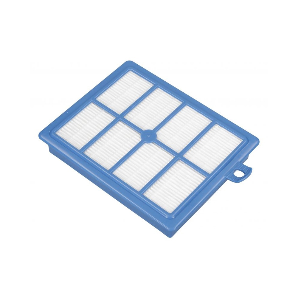 Electrolux Allergy Plus Filter 1924993304