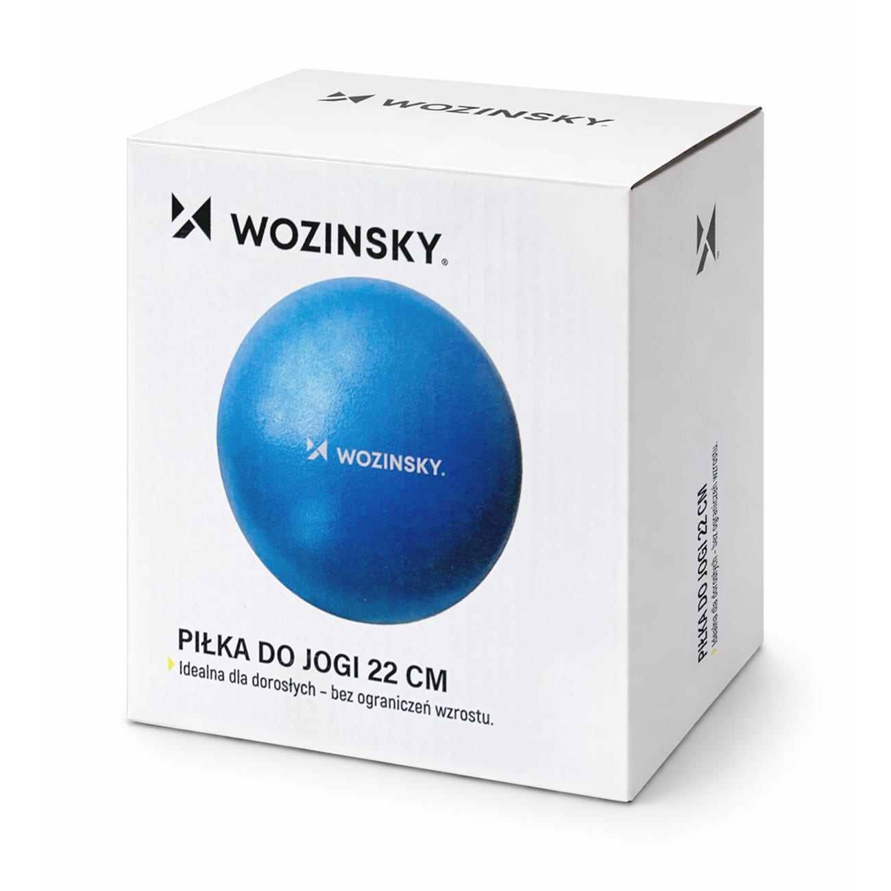 Wozinsky WPDP-N22 kuntoutuspallo 25cm - sininen - sininen